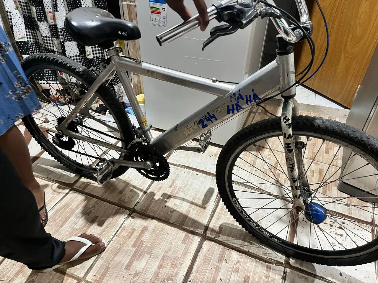 Bicicleta 