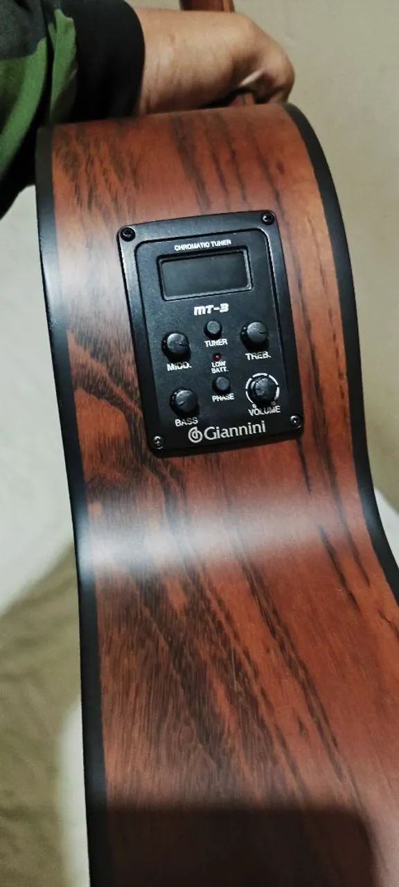 Viola Giannini raiz elétrica - Foto 2
