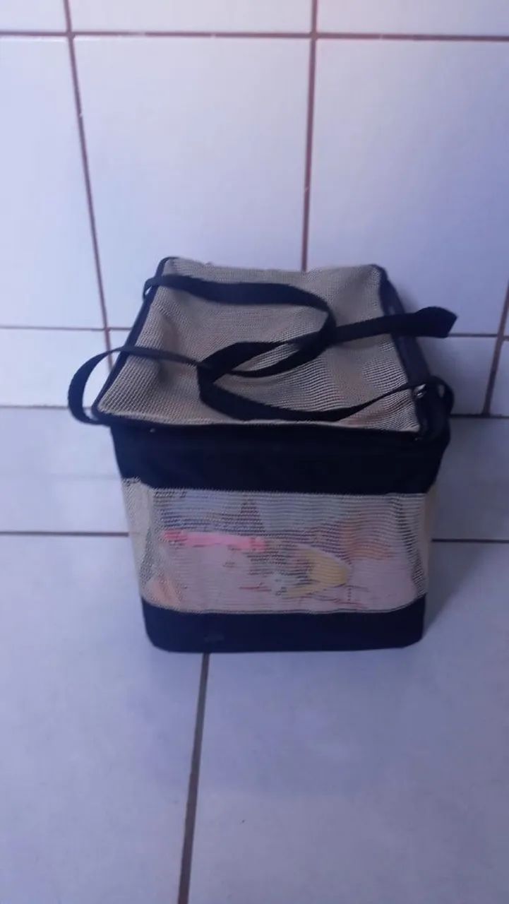 Bag de avião para pet