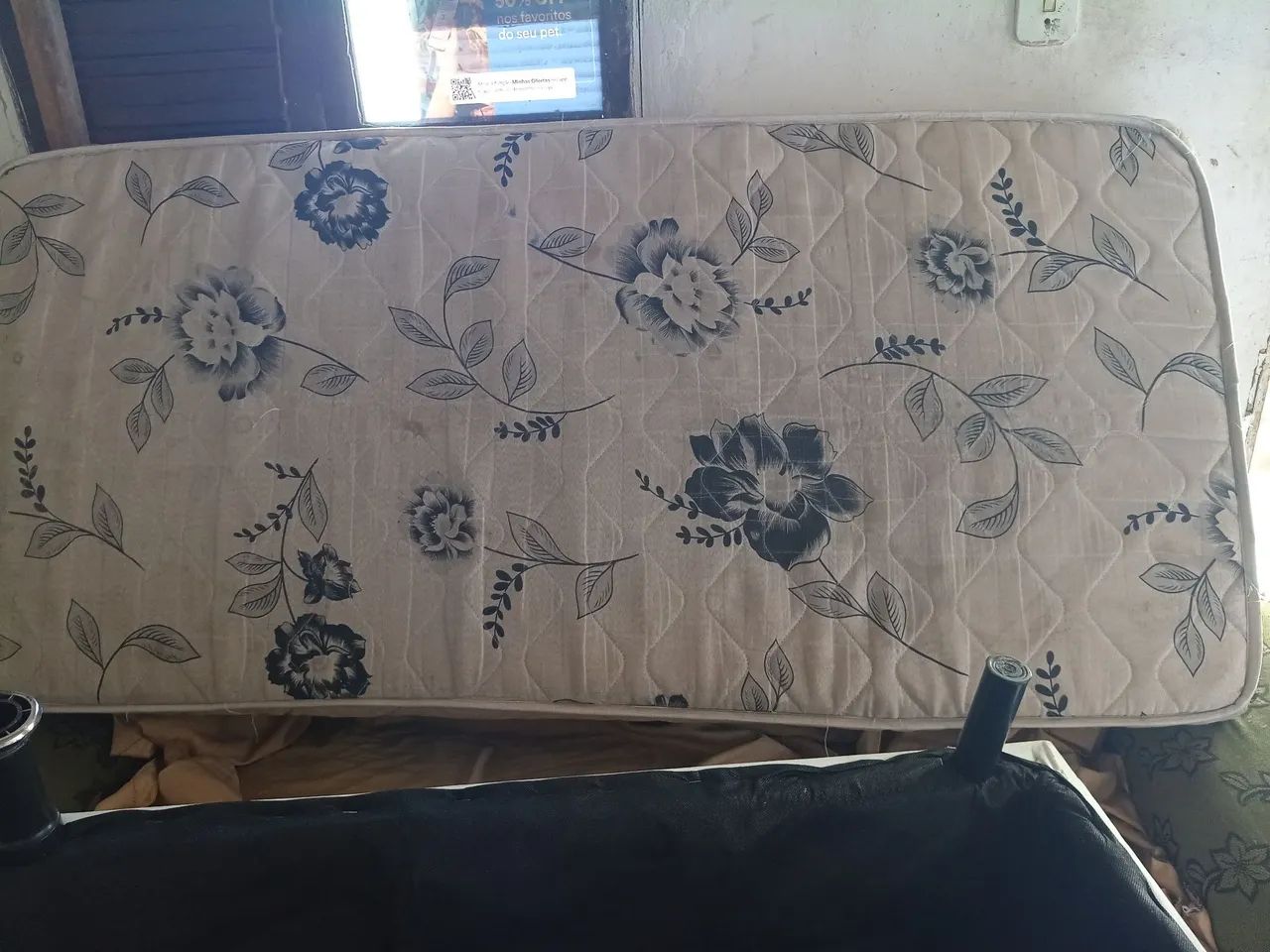Cama