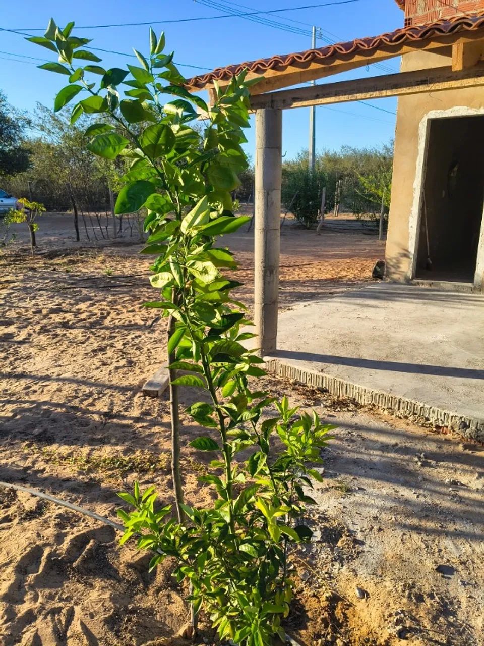 Terreno para chácara com imóvel em construcão - Foto 5