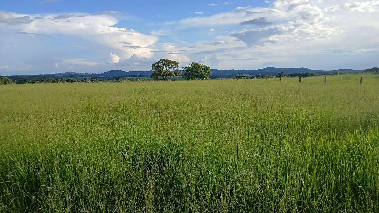 Foto - Itaberaí - 