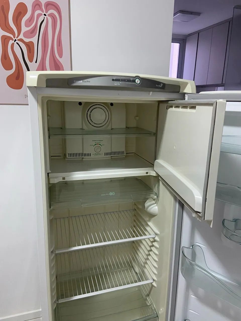 Geladeira facilite cônsul usada