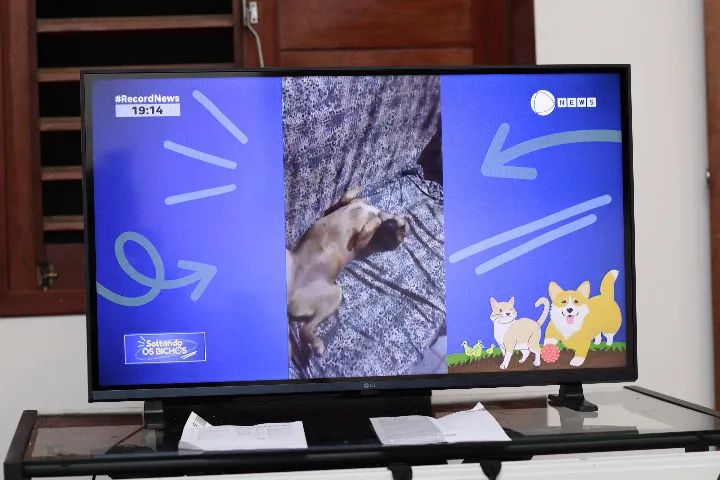 SmartTV LG 32" HD - semi nova - Foto 3