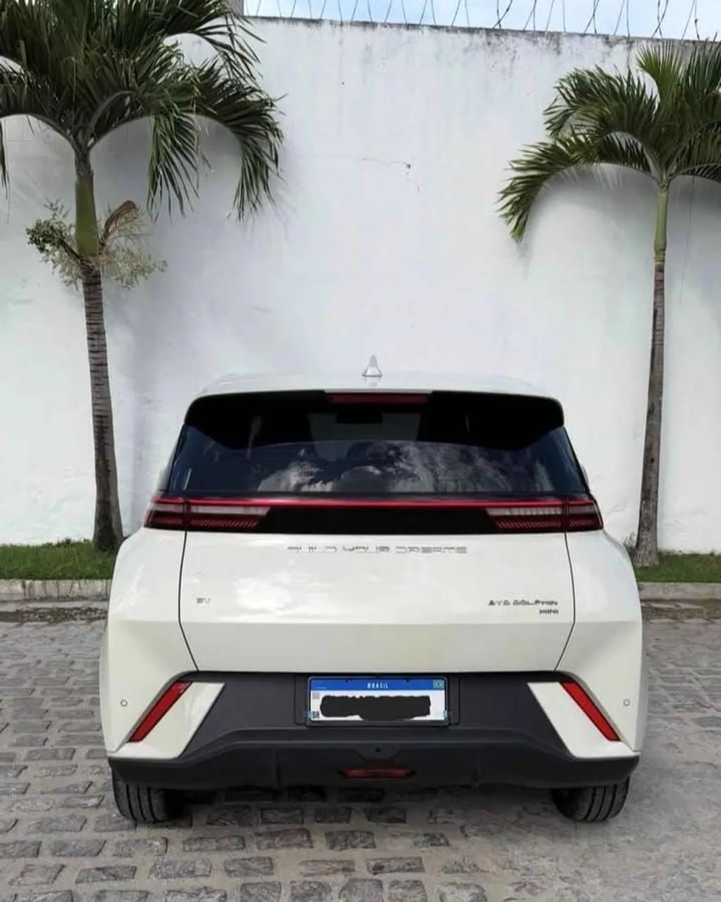 BYD Dolphin Mini (Elétrico) 2025 - Foto 4