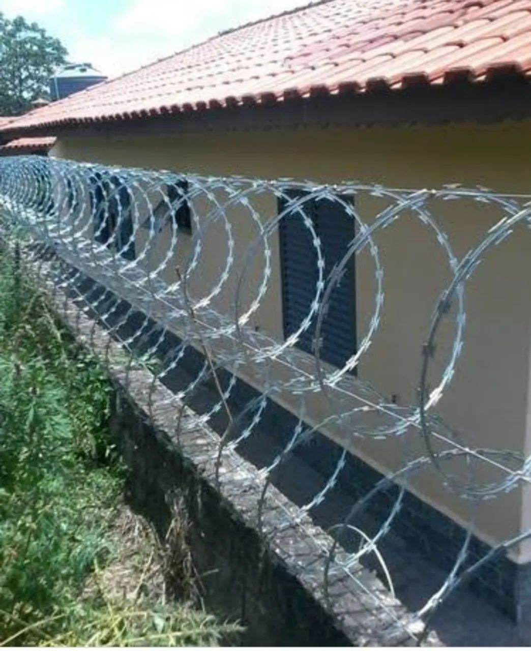 Concertina galvanizada  - Foto 2