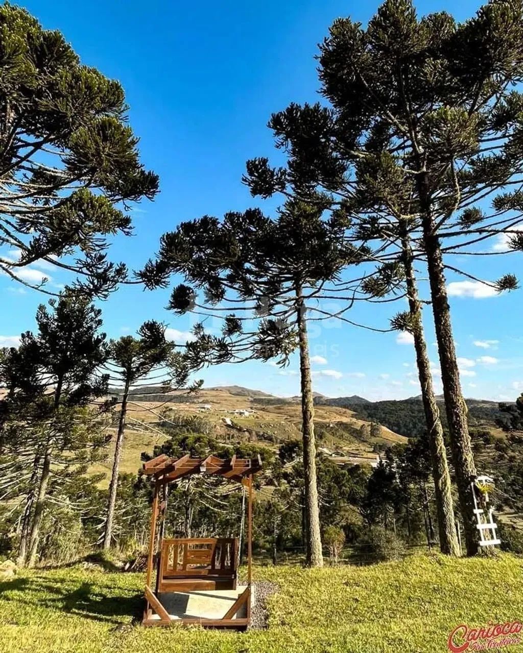 Sítio à venda em Bom Jardim da Serra - Foto 2