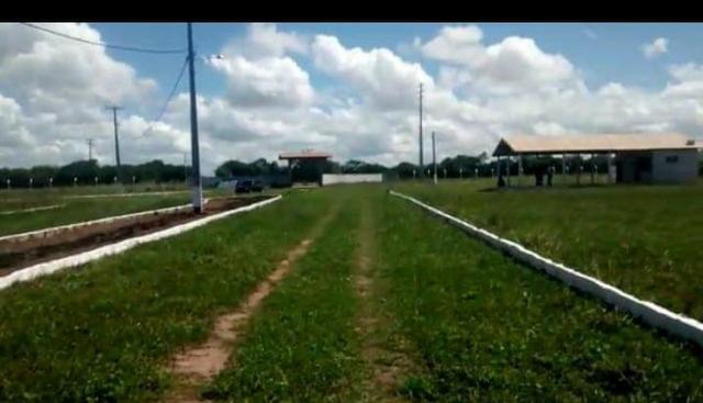 Vendo Terreno em Ceará Mirim- Riachão 1000 metros - Foto 4
