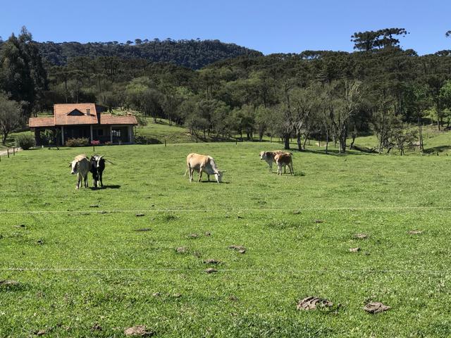 Casa em Urubici/Sítio Urubici - Foto 5