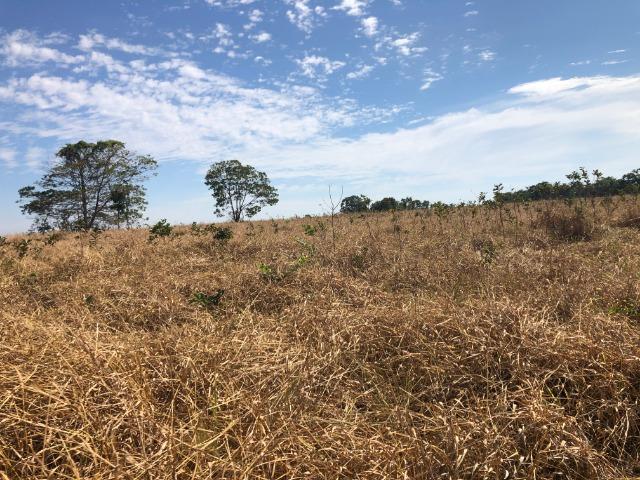2750 Hectares x Campo Grande,Pecuária e Lavoura,Comodoro-MT Ótimo localização - Foto 3