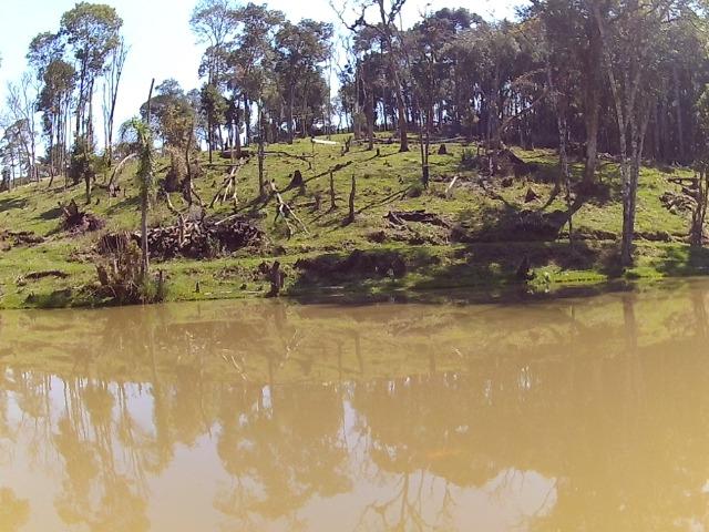 Chacara com 22.000m2 - Foto 9