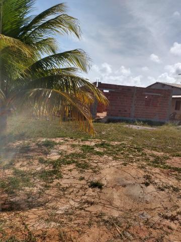 Vendo 15x50 próximo a lagoa dos tambaquis - Foto 2