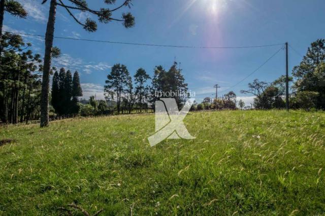 Chácara com 1 dormitório à venda, 60500 m² por r$ 599.000,00 - centro - colombo/pr - Foto 2