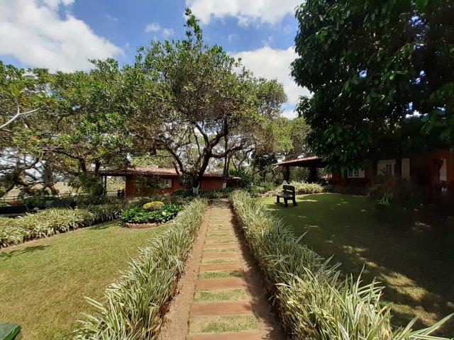 Propriedade com 14 hectares em Sairé (Cód.: fvv56) - Foto 8
