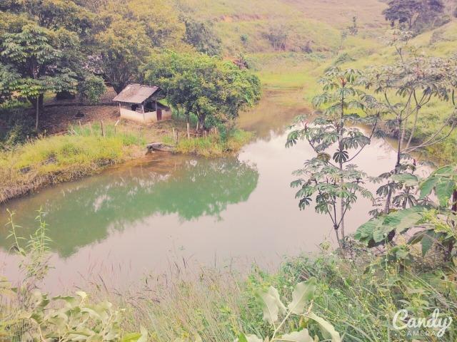 Fazenda Muito Boa na Região Veja a Descrição - Foto 4