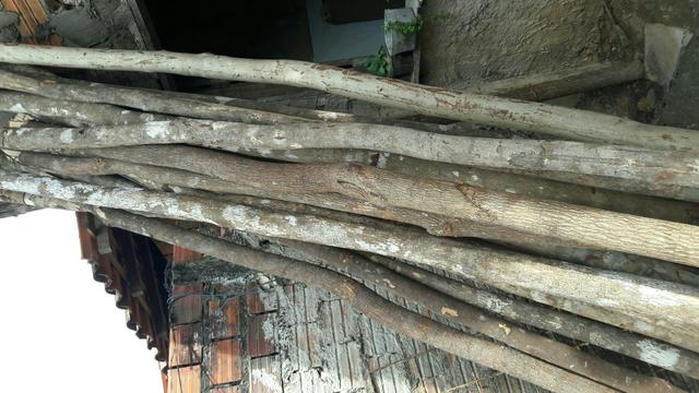 Escoras - Foto 4