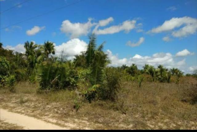 Vendo ou troco Terreno 40x40 Timon - Foto 4