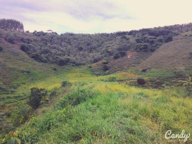 Fazenda Muito Boa na Região Veja a Descrição - Foto 13