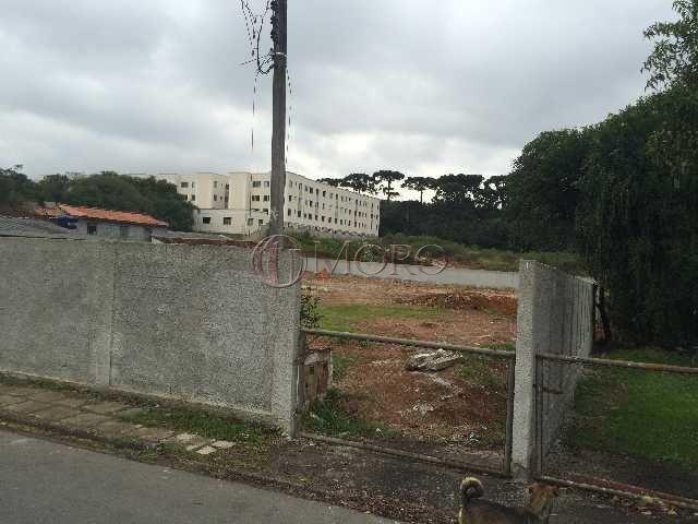 Terreno à venda em Boneca do iguaçu, São josé dos pinhais cod:93691-Moro - Foto 5