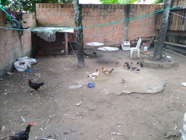 Vende-se ou trocar essa casa - Foto 6