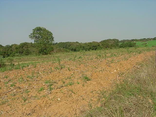 Terreno à venda em Sabiá, Araucária cod:7227-MORO - Foto 4