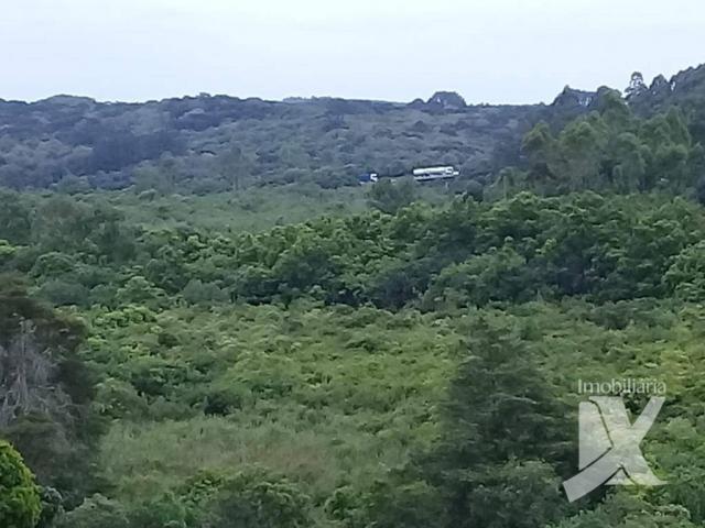 Chácara - venda, 176.055 m² por r$ 1.500.000 - botiatuva - - campo largo - pr - Foto 18