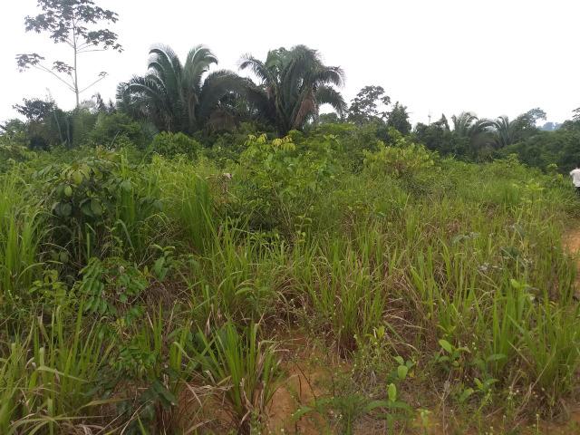 Lote, na Vila Paulo Fonteles