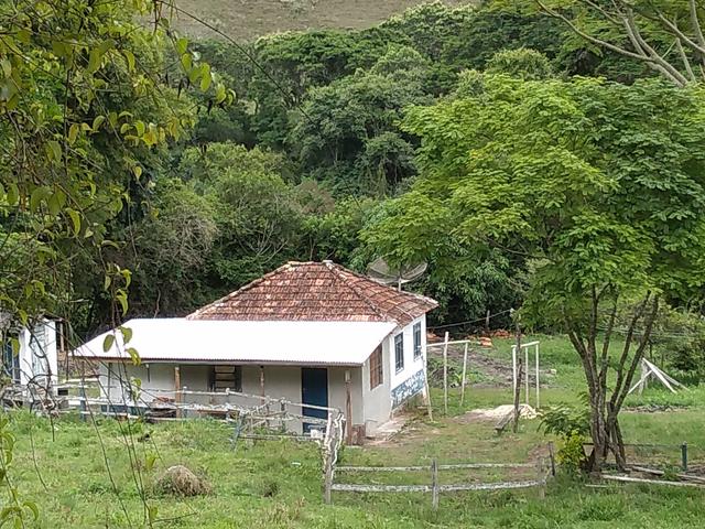 Sítio em Carvalhos Mg - Foto 6