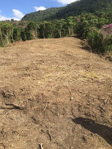 Terreno de planta, e reflorestamento - Foto 5