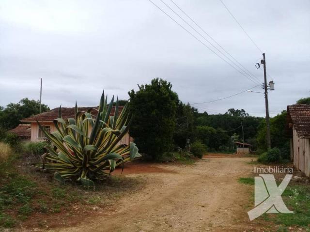 Chácara - venda, 176.055 m² por r$ 1.500.000 - botiatuva - - campo largo - pr - Foto 19