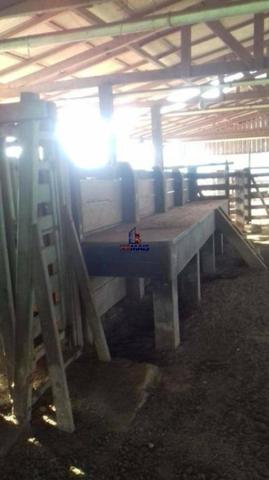 Fazenda à venda, por R$ 40.000.000 - Zona Rural - Rurópolis/Pará - Foto 5