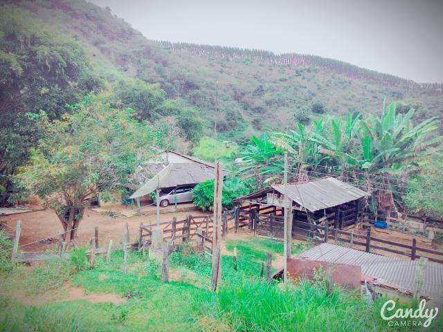 Fazenda Muito Boa na Região Veja a Descrição - Foto 9