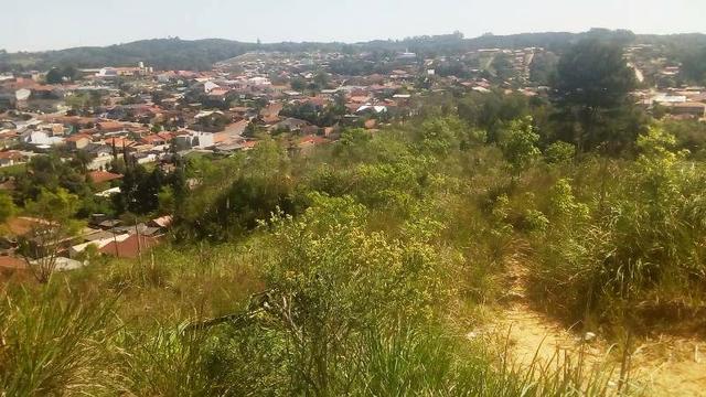 Terreno para Venda, 20.000,00 m² São Bento do Sul / SC, bairro Oxford - Foto 8