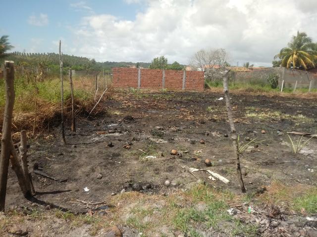 Terreno 12x30 - Foto 2