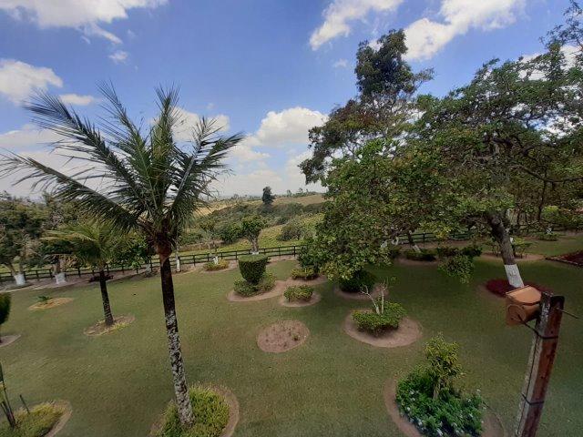 Propriedade com 14 hectares em Sairé (Cód.: fvv56)