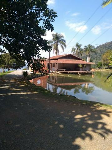 Sítio tifa bom Jesus reflorestamento - Foto 2