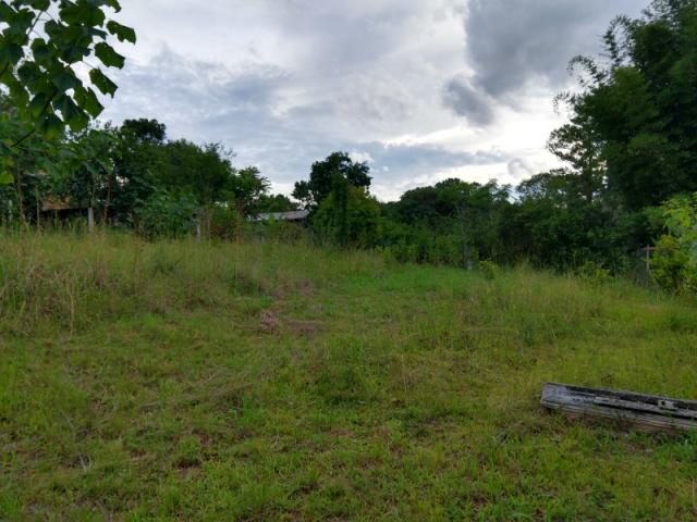 Chácara 2.500 m² - morungava - gravataí - rs - Foto 16