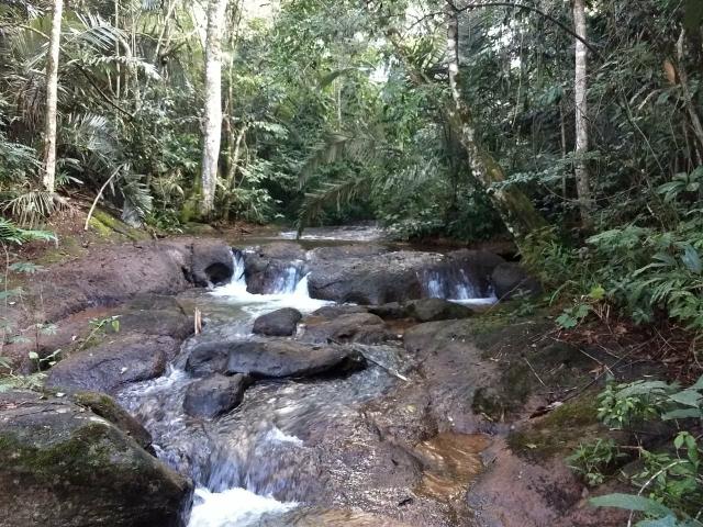 Sítio Floresta - Santa Teresa - ES - Foto 9