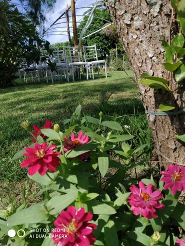 Cerimonial Garden Goddio - Foto 5