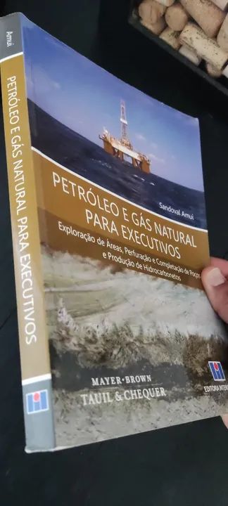 Livro Petróleo e Gás para Executivos