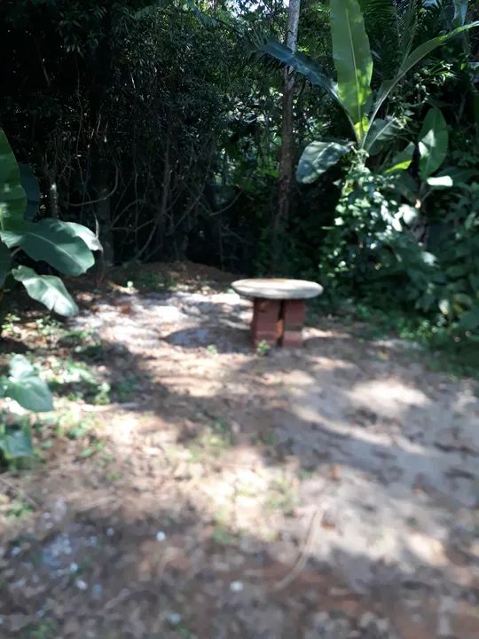 Chácara  em Morretes Rio Sagrado - Foto 5