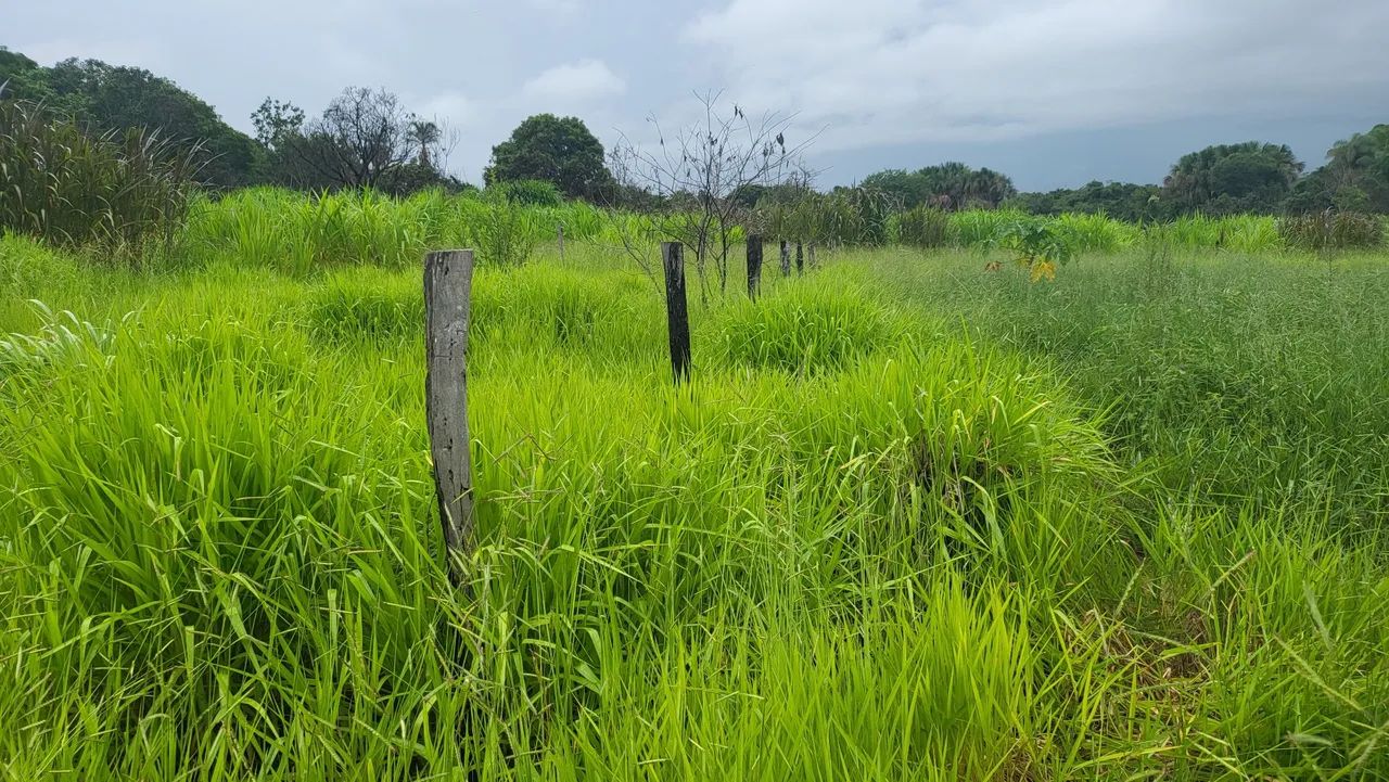 Ex chácara em planaltina df - Foto 6