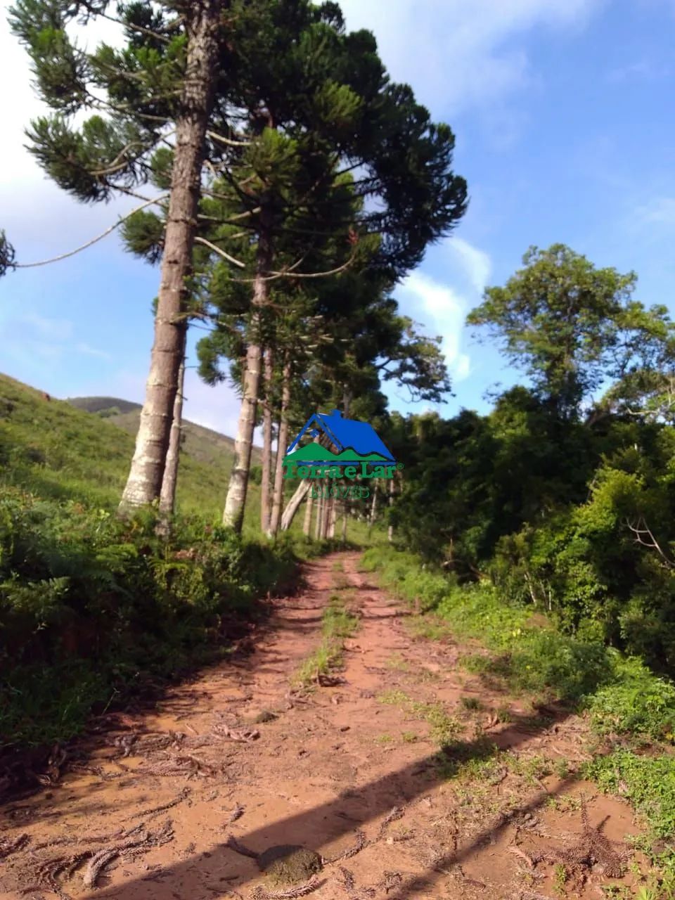 Sítio à venda em Franceses, Carvalhos, MG - Foto 2