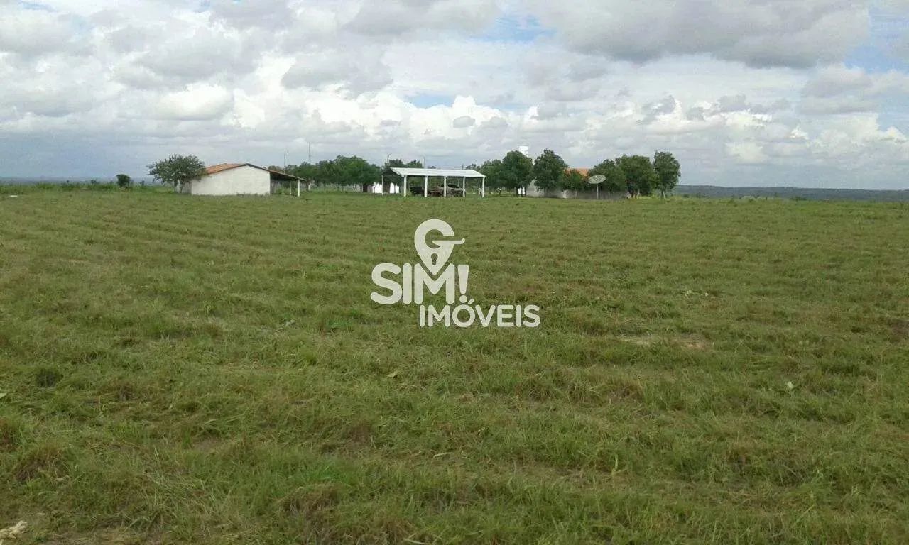 OPORTUNIDADE ÚNICA, FAZENDA TODA FORMADA EM PEDRO AFONSO! - Foto 3