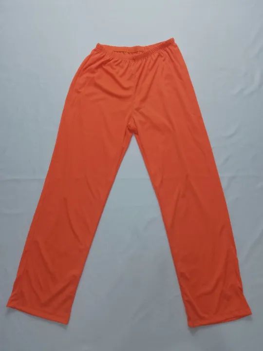 Fantasia Dragon Ball - Foto 5