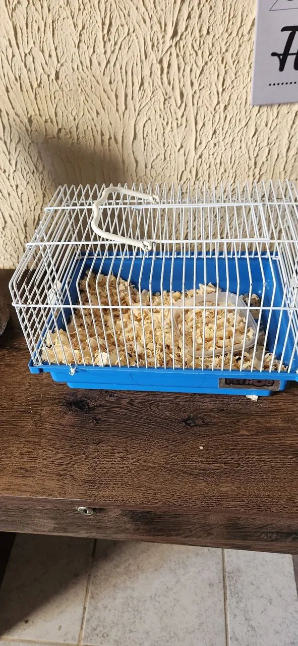 Gaiola para Hamster9 - Foto 2