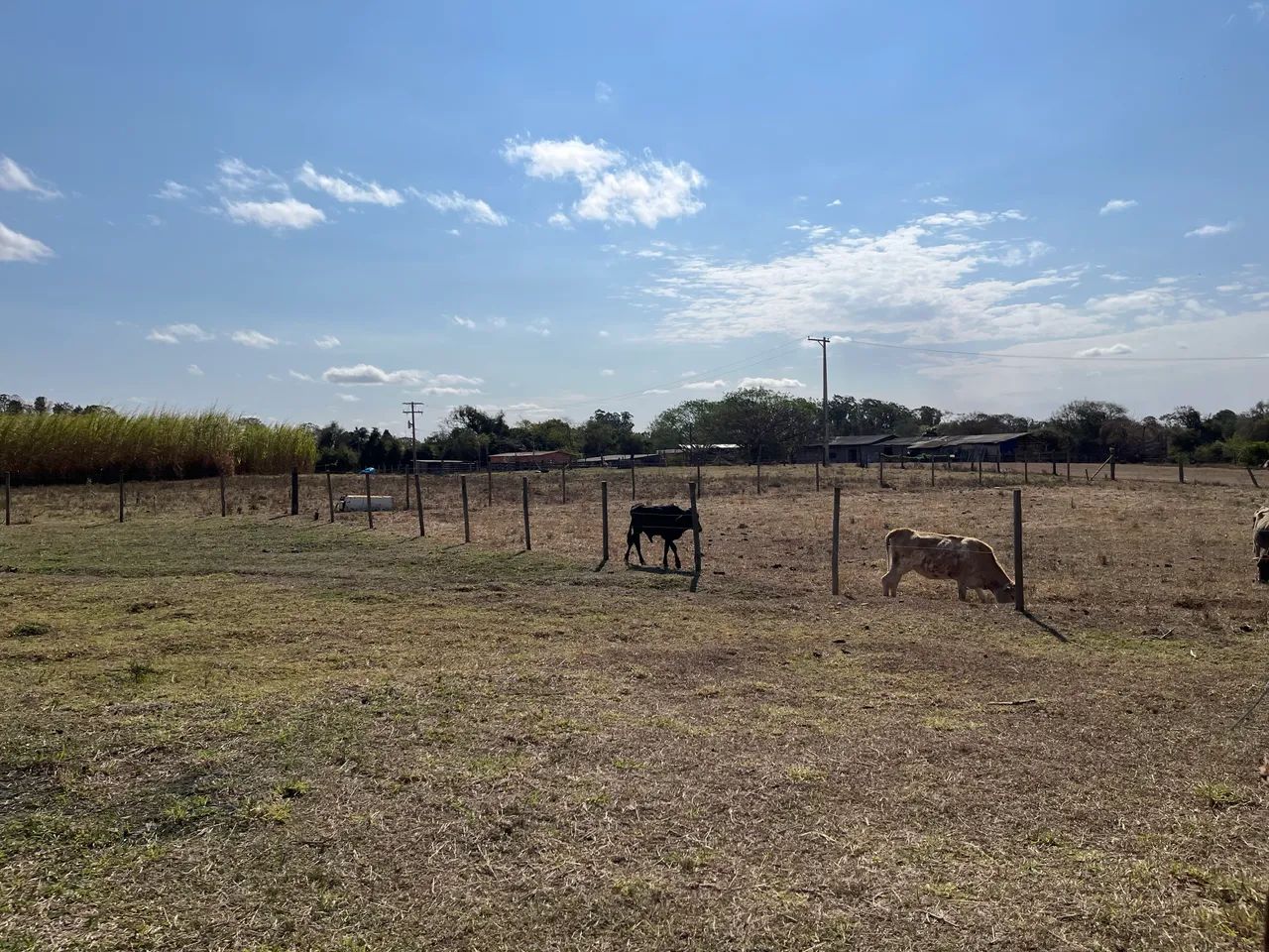 Foto - Osasco - Bela Vista