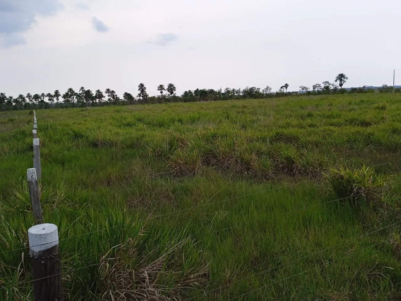 Fazenda de 908 hequitares