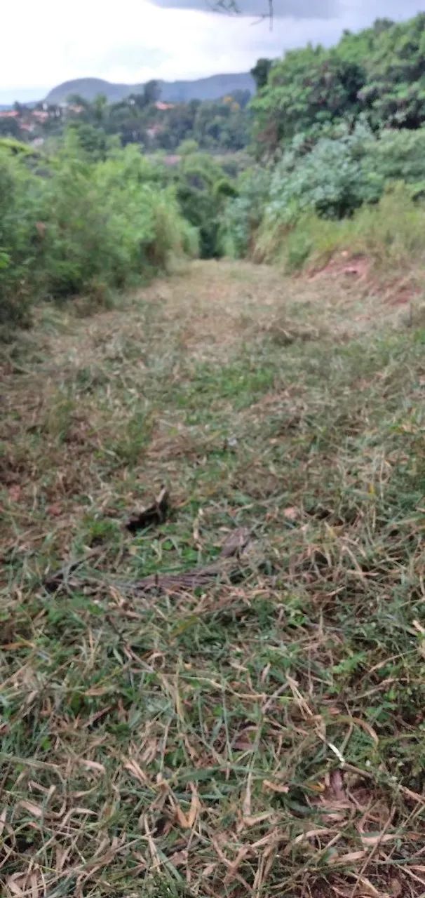 Limpeza de terrenos. - Foto 2