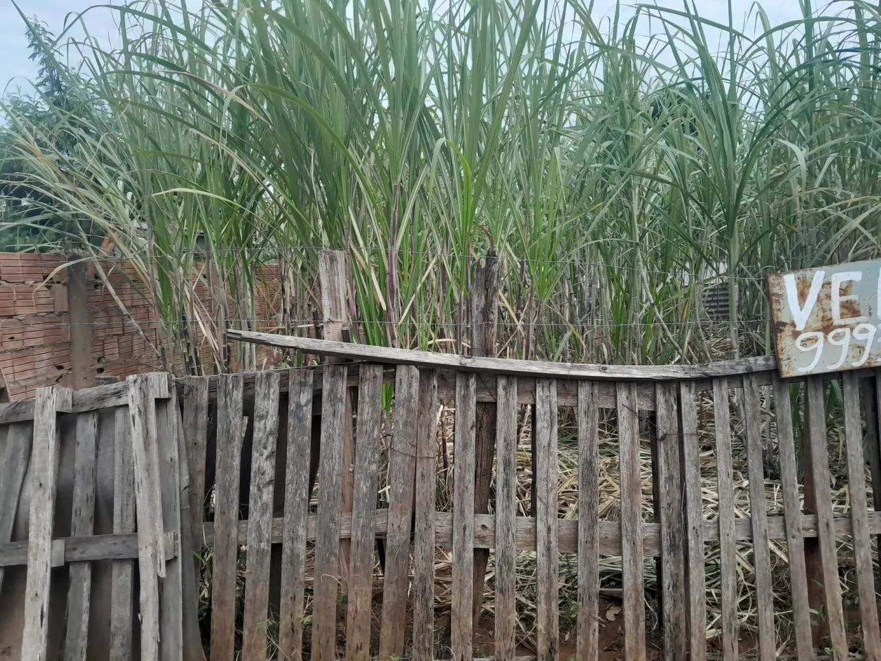 Terreno 